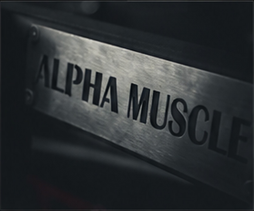 ALPHA MUSCLE engraved metal nameplate on equipment